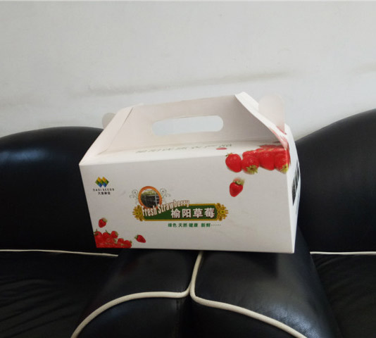 西(xī)安草莓禮(lǐ)盒紙箱(xiāng)