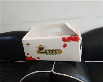草莓禮(lǐ)盒紙箱(xiāng)