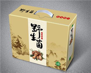 紙(zhǐ)箱印版(bǎn)的(de)種類和特性